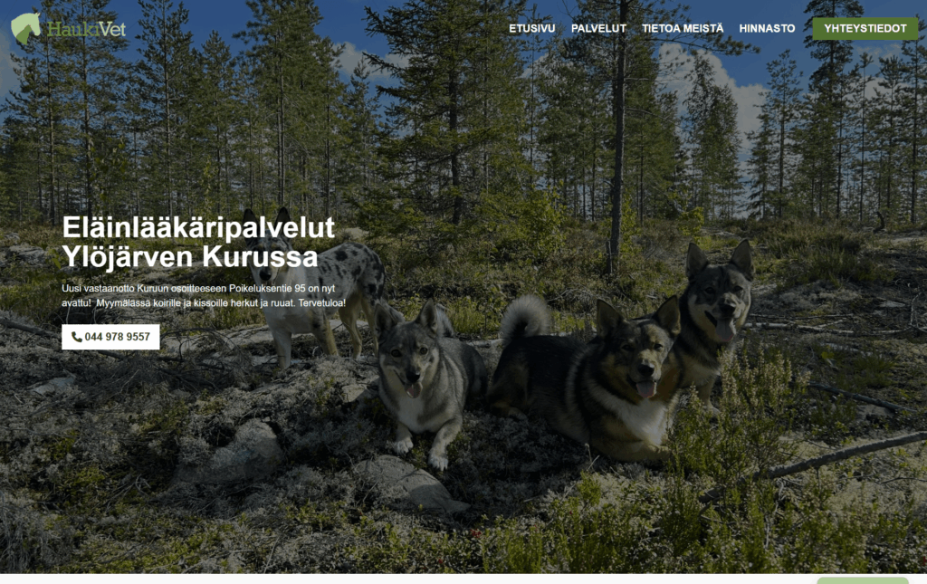 HaukiVet työnäyte, JeleTele Design